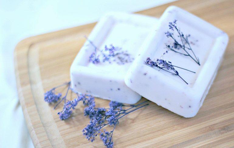 Your First Step into Crafting Soaps